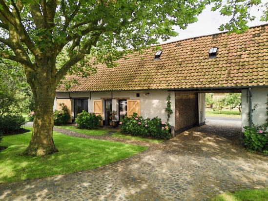 Tablefever 2024 07 31 Compagnique 6 0