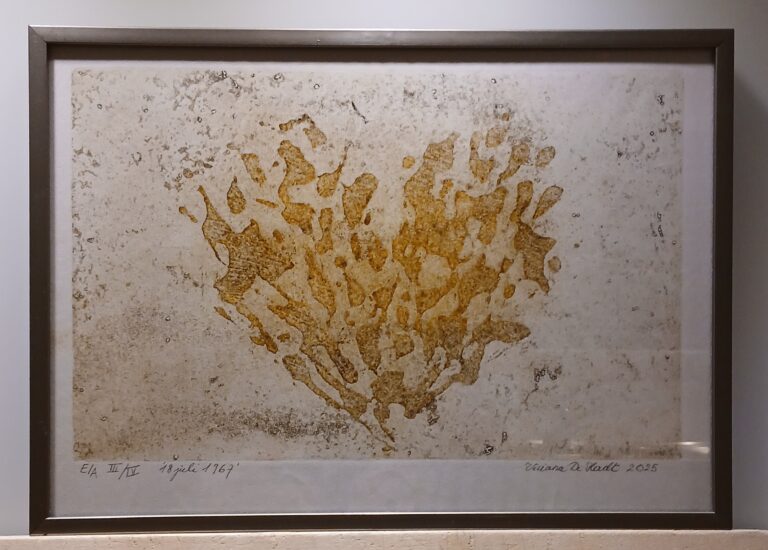 Viviana De Herdt 768x550