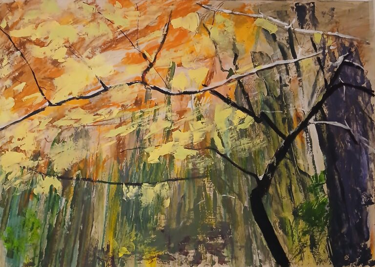 winterwandeling Orchimont Namen 1 768x546