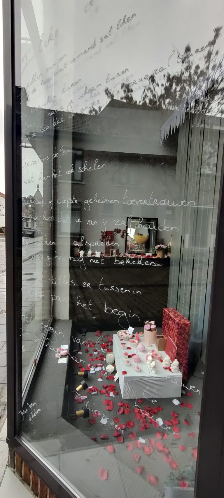 IMG 20260206 120439 768x1703